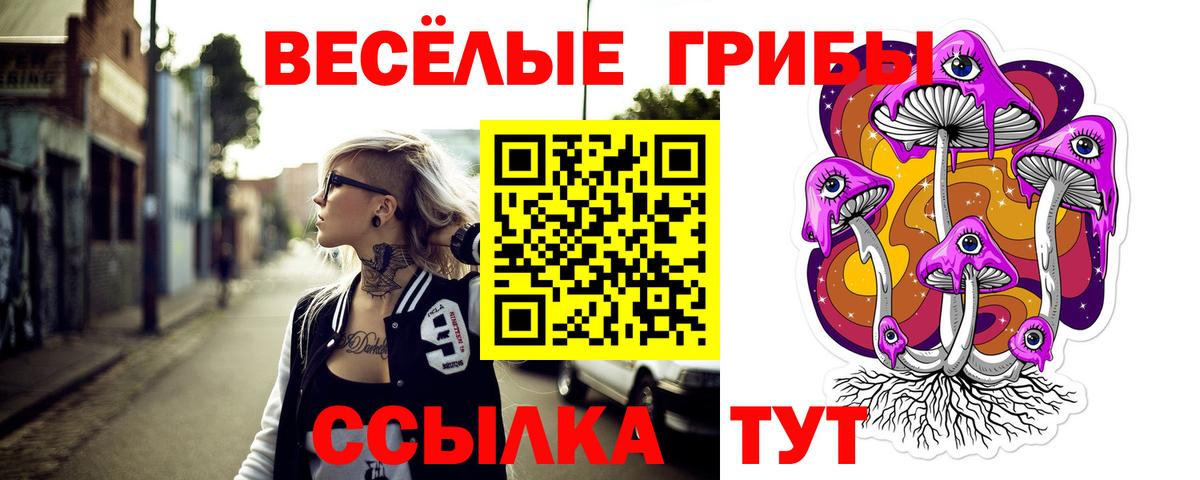 Псилоцибиновые грибы MAGIC MUSHROOMS Ивантеевка